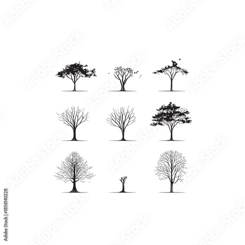 Koelreuteria Golden Rain Tree icon art simple line drawing 
