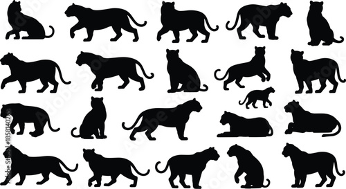 Big Cat Silhouette Vector Set with Multiple Poses, Black and White Panther, Leopard, and Tiger Shapes for Logo, Wildlife, and Design Use