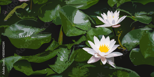 White water lilies bloom amidst lush green lily pads on a pond