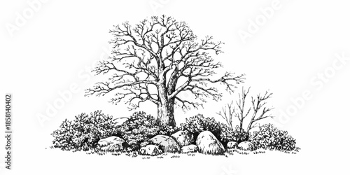 A detailed ink sketch portrays a bare tree with surrounding bushes and rocks