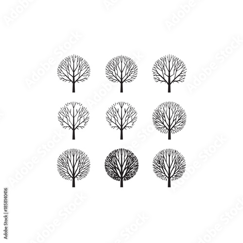 Koelreuteria Golden Rain Tree icon art vector design 