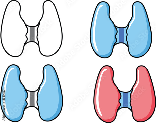 Thyroid gland icon illustration set showing different colors and conditions isolated vector medical endocrine anatomy healthcare design