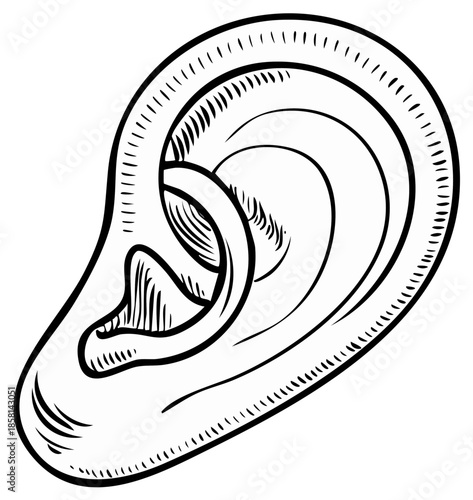 Hand-Drawn Sketch of a Human Ear with Intricate Hatching Detail