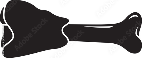 Simple bone silhouette