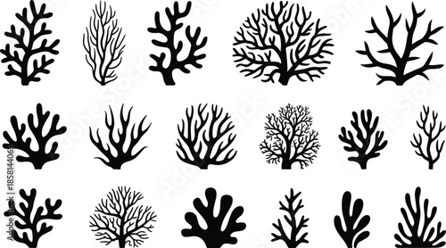 Black coral silhouettes collection isolated on white background, marine reef shapes set for ocean design, underwater illustrations, logos, and decorative graphics