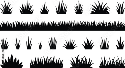 Black grass silhouettes set with wild meadow plants and lawn borders, minimalist botanical foliage icons isolated on white background for design use