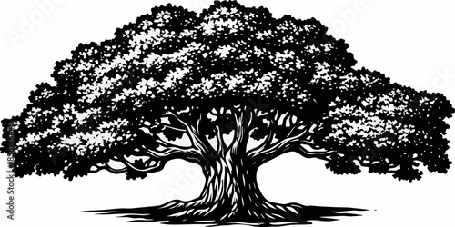 Detailed black and white illustration of a large leafy tree with strong roots