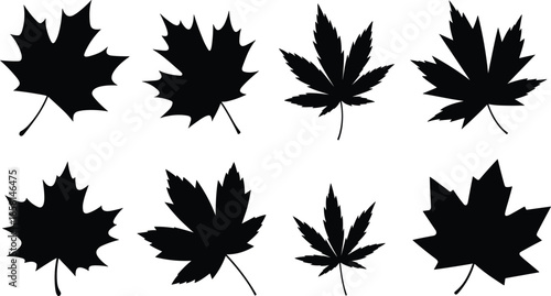 Black maple leaf silhouettes set isolated on white background, autumn foliage shapes collection for nature design, decoration, branding, and seasonal graphics