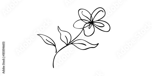 Delicate floral sketch of a stem and blossoming flower on black background