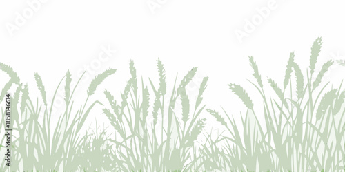 A serene illustration of green wheat or grass stalks against a white background