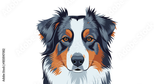 A detailed and beautifully colored vector portrait of an Australian Shepherd dog's head with intelligent and watchful eyes.
