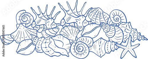 Minimalist seashell line art illustration, aesthetic marine summer vector