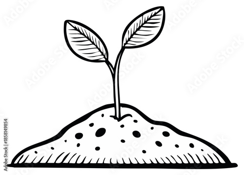 Fresh plant sprout with two leaves growing from fertile soil drawing