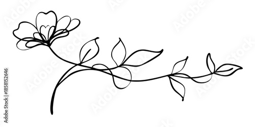 A delicate branch with sparse leaves and a small insect silhouetted in darkness