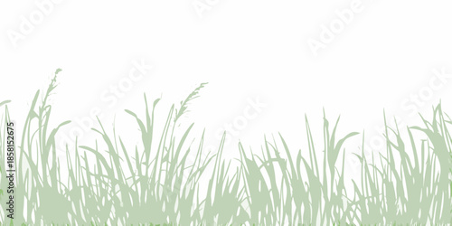A minimalist view of light green grass blades against a white backdrop