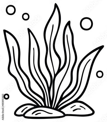 Stylized illustration of aquatic plants with bubbles and pebbles in a simple line drawing style