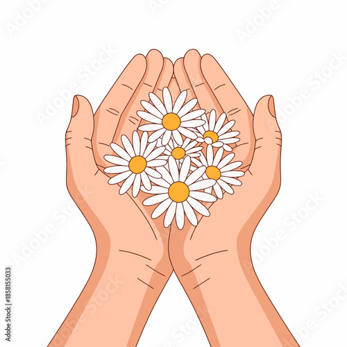 A pair of hands gently cradling fresh daisies creates a tender and heartwarming image that represents care, affection, and the simple beauty of nature's gifts.