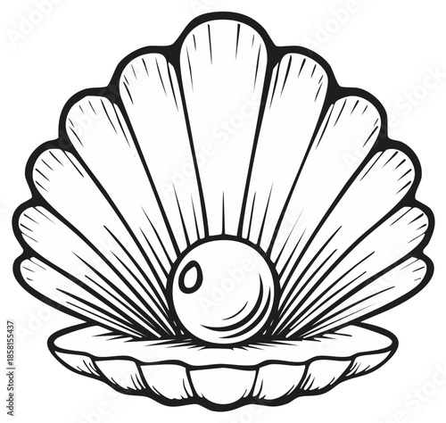 Seashell with pearl drawing vector illustration. Beautiful sea shell with a gem vector drawing illustration. Outline drawing of sea shell.