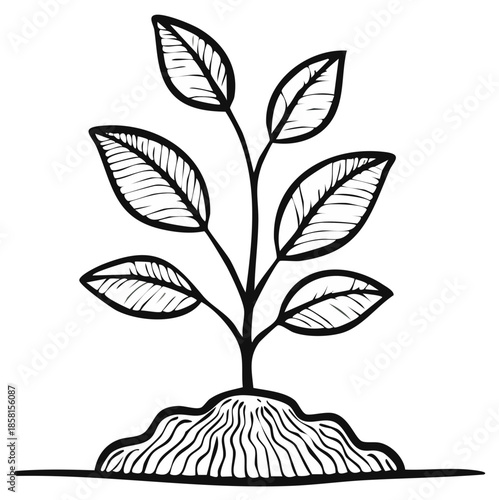 Line Art Illustration of a Young Plant Sprouting from Soil, symbolizing growth and new beginnings