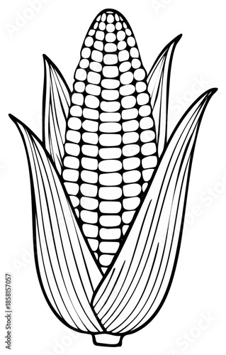 A Detailed Black and White Illustration of a Ripe Corn Cob Surrounded by Fresh Green Leaves