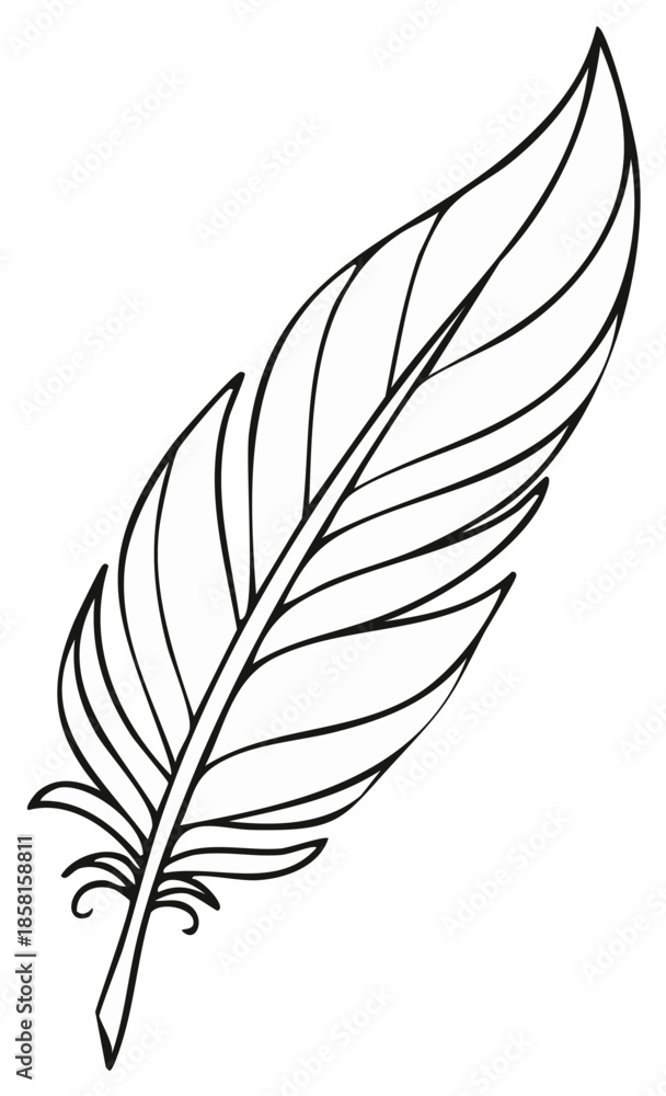 Fototapeta premium Elegant Hand-Drawn Feather Illustration with Intricate Details