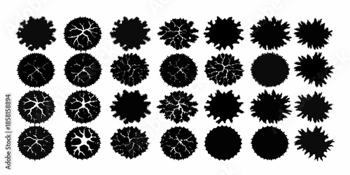 A collection of circular patterns showcasing varying degrees of complexity and density