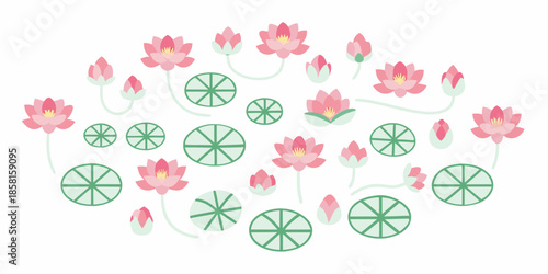 A delicate arrangement of pink lotus flowers and green lily pads