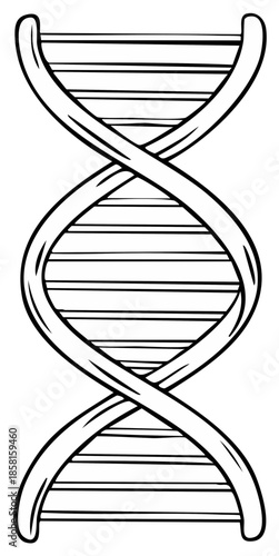 Stylized black and white drawing of a DNA double helix structure, a fundamental element of genetics.