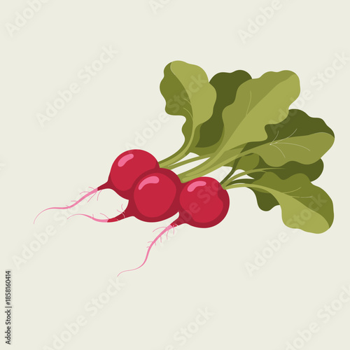 A vibrant bunch of radishes sits with their green leaves, showcasing their freshness and natural colors, representing healthy eating choices and the joys of gardening and nature.