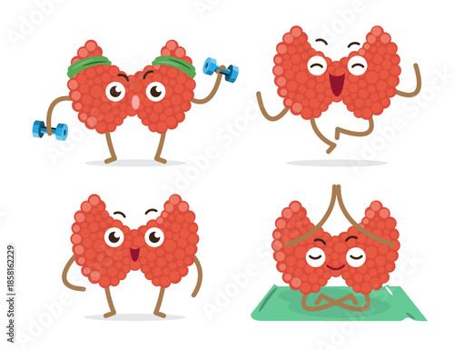 Healthy thyroid gland cartoon characters collection on isolated white background . Vector .