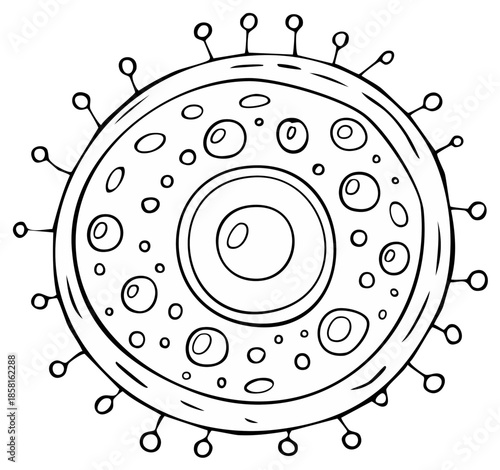 Abstract illustration of a round cell structure with a central nucleus