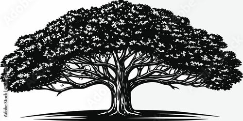Detailed illustration of a large mature tree with dense foliage and strong branches