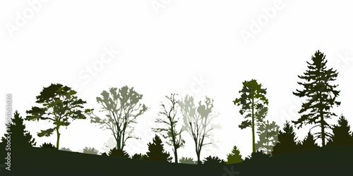 Silhouette of a forest landscape with various tree types against a white background