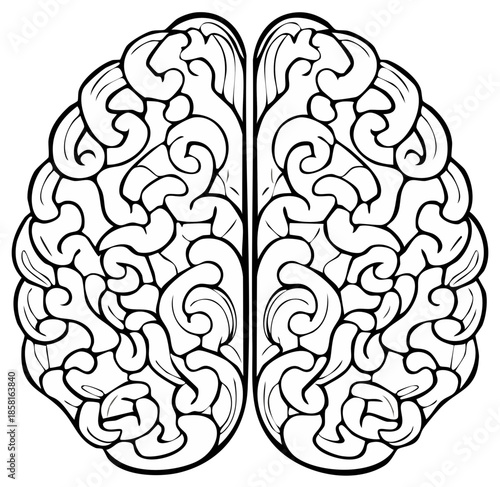 Black and white stylized illustration of human brain anatomy diagram, concept of thought, intellect