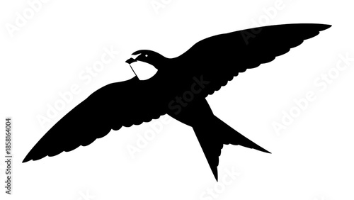 Minimalist vector illustration of a common swift (Apus apus) in mid-flight against a clean transparent background.