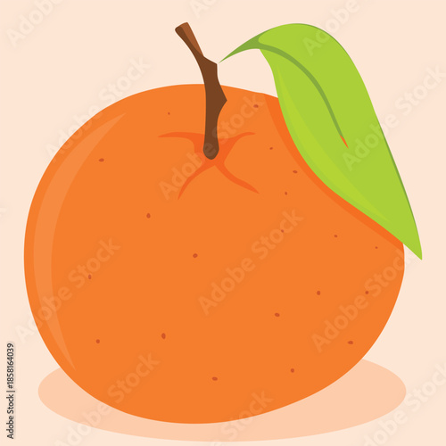 Fresh Orange Fruit Vector - Citrus Vitamin C Healthy Food Illustration