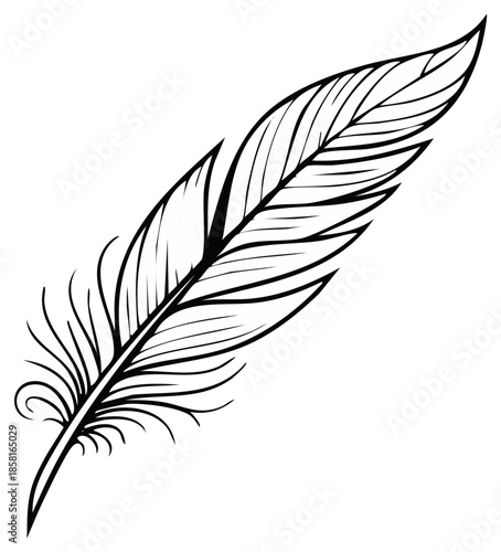 Elegant feather quill illustration, delicate monochrome graphic for design projects