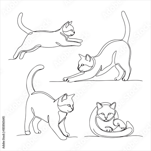 cat,cats,kitten,feline,pet,animal,playful,poses,stretching,sleeping,walking,behavior,lineart,outline,continuous,minimal,minimalist,vector,illustration,drawing,sketch,art,design,graphic,black,white,sim