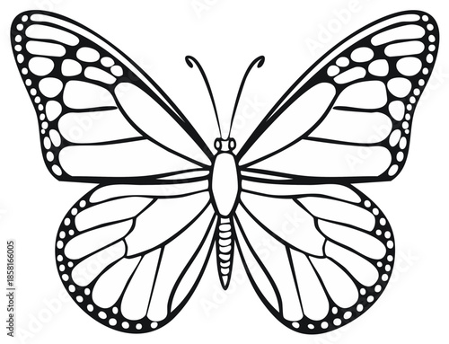 Black and white butterfly illustration, coloring page