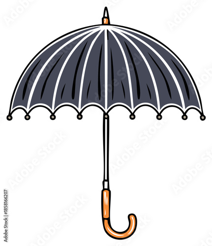 Stylish Black Umbrella with Elegant White Detailing: Weather Protection and Classic Design