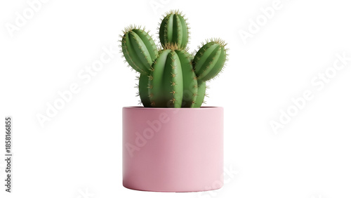 Quadro em tela Green cactus in pink pot isolated PNG, succulent plant with thorns on transparen