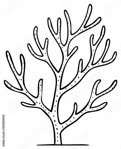 Stylized Branching Coral Outline Illustration Simple Hand Drawn Marine Life Design