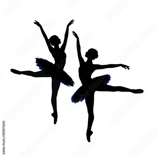 Blue Ballet Dancers Line Art Illustration