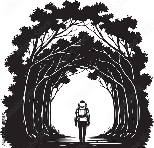 50 Mystic Forest Silhouette Vector Bundle