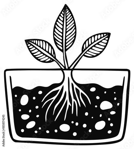 Hand-Drawn Aquatic Plant in a Glass Container with Visible Roots Growing in Water and Sediment, Single Line Drawing