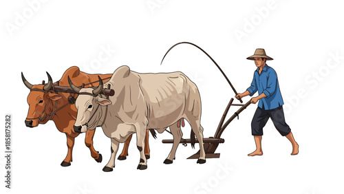 Farmer Plowing Field with Oxen and Traditional Plow.