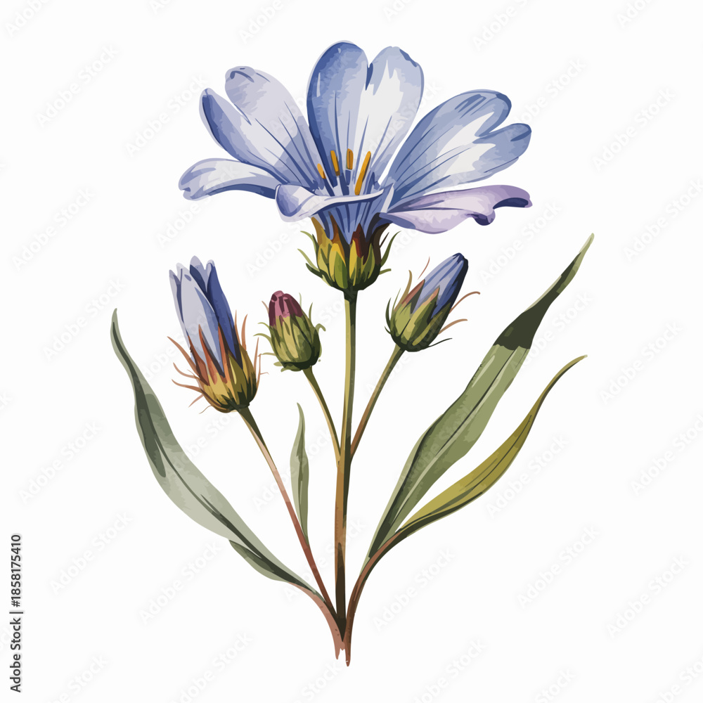 Fototapeta premium A beautifully illustrated blue flower with budding blooms and lush green leaves, portraying nature's delicate beauty and tranquility in an artistic and vibrant manner.