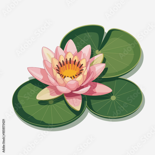A beautiful pink water lily in full bloom rests serenely on broad green leaves, representing tranquility and the grace of nature in a peaceful aquatic setting.