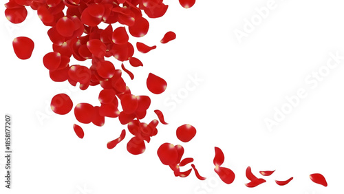 Cascade of falling red rose petals moving across transparent space