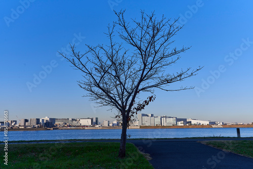 Heartbeat of a City Floating on the Water.